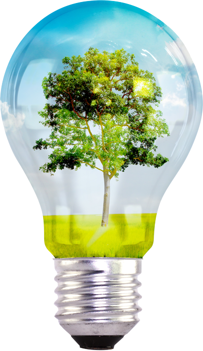environnement écologie